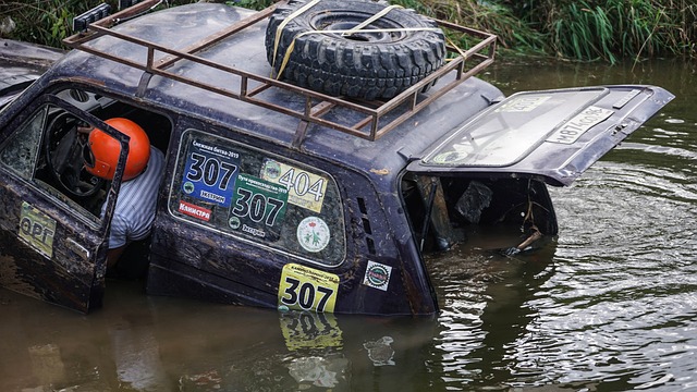 看点请查收 看点请查收