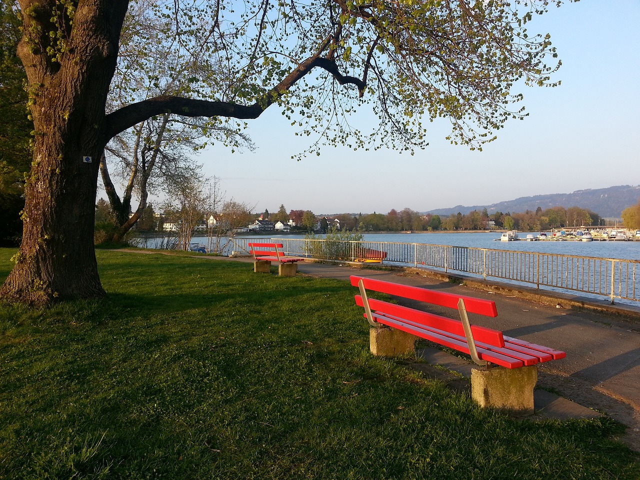 比的身体素 比的身体素