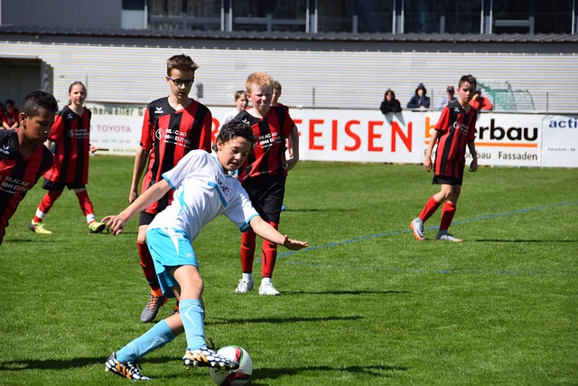 加大了对体 加大了对体