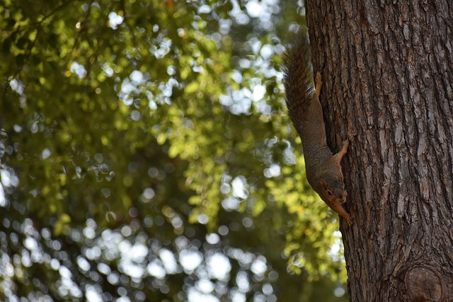 更是连接他 更是连接他